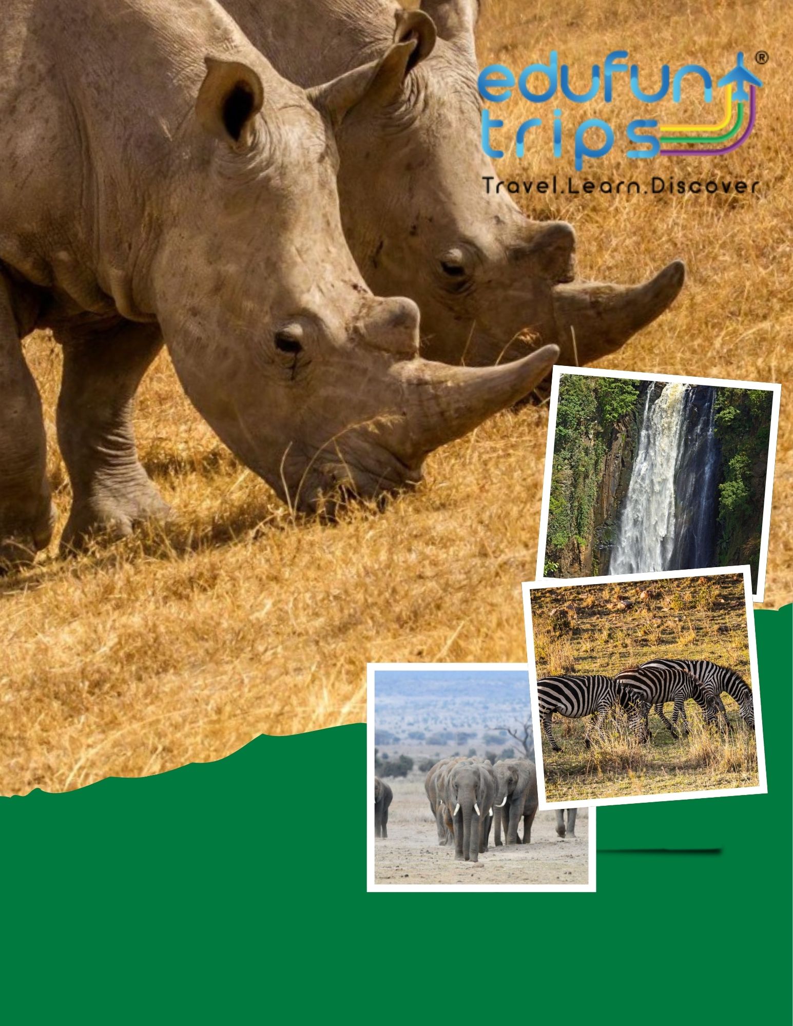 Kenya wildlife safari